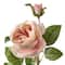 12 Pack: Light Pink English Rose Stem by Ashland®
